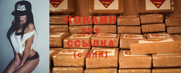 spice Бородино