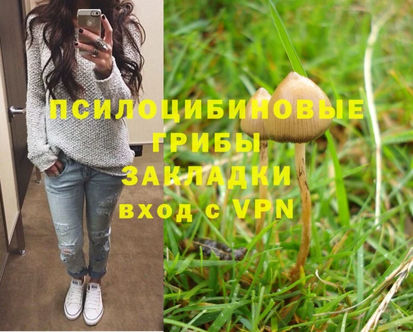 spice Бородино