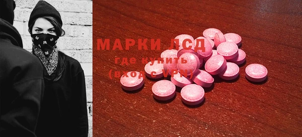 spice Бородино