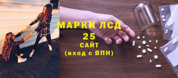 spice Бородино