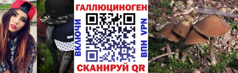 Галлюциногенные грибы мицелий  Надым 